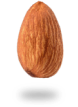 dry-fruid2